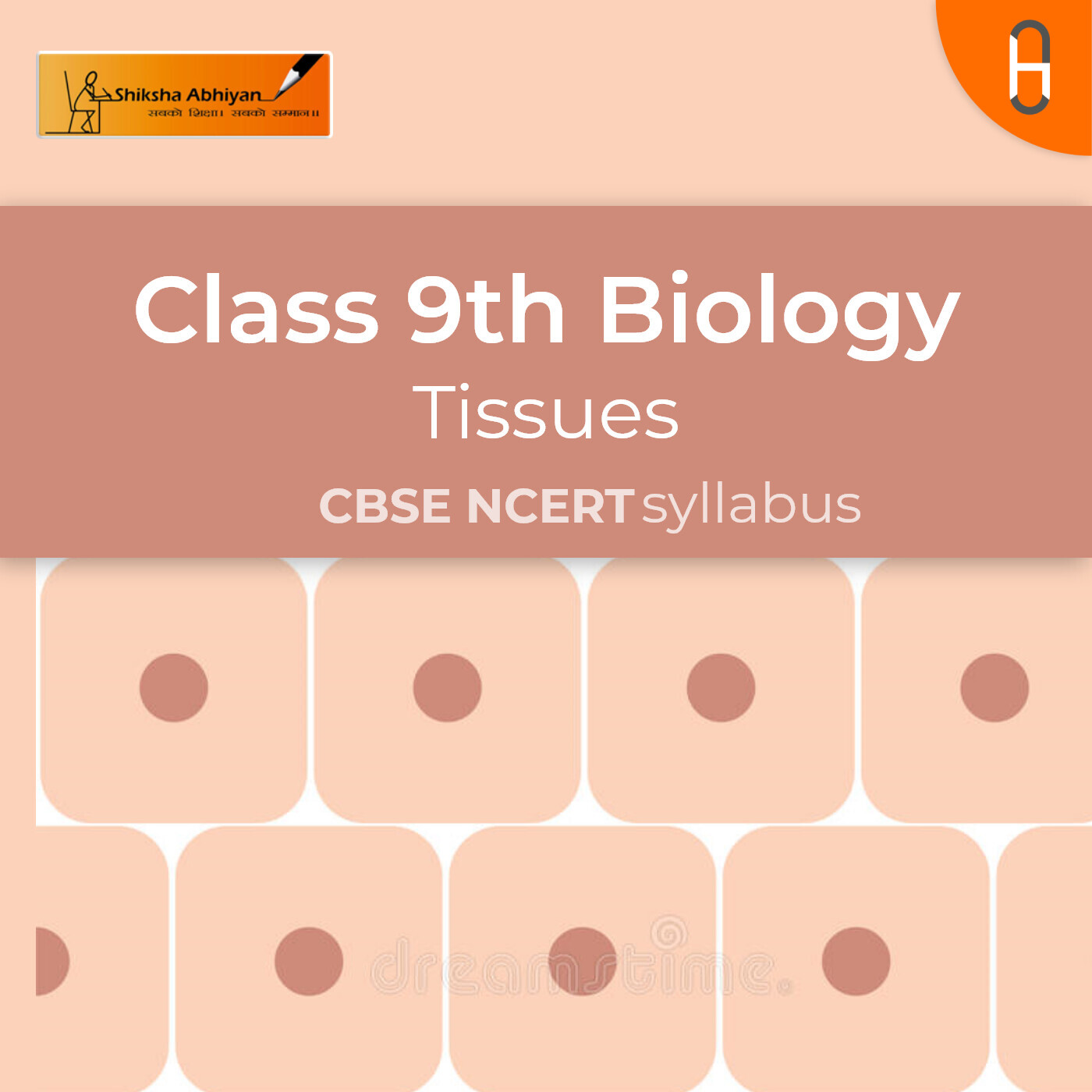 Epithelial Tissue  | CBSE | Class 9 | Biology | Tissues