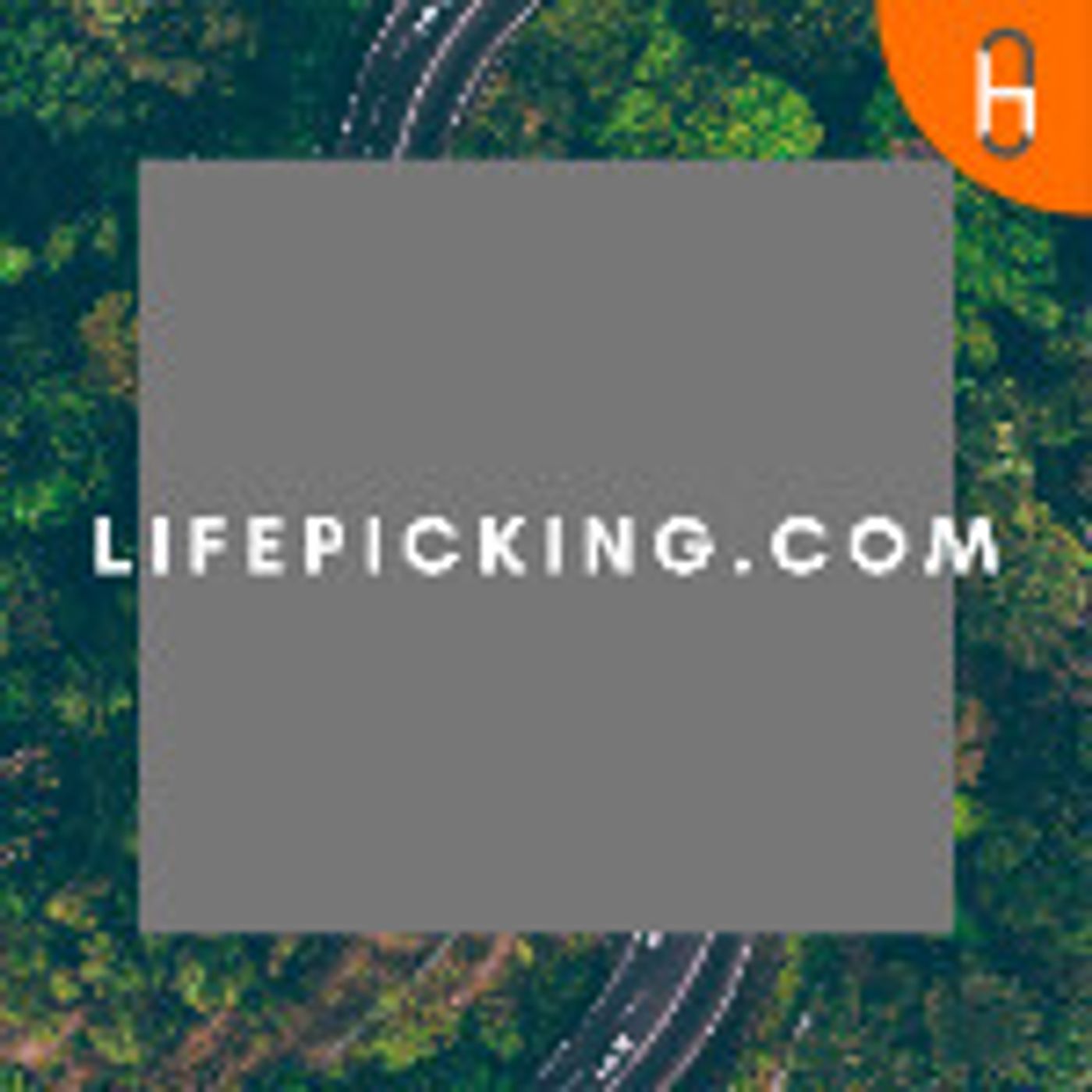 Life Picking - The Kite Runner (book review)