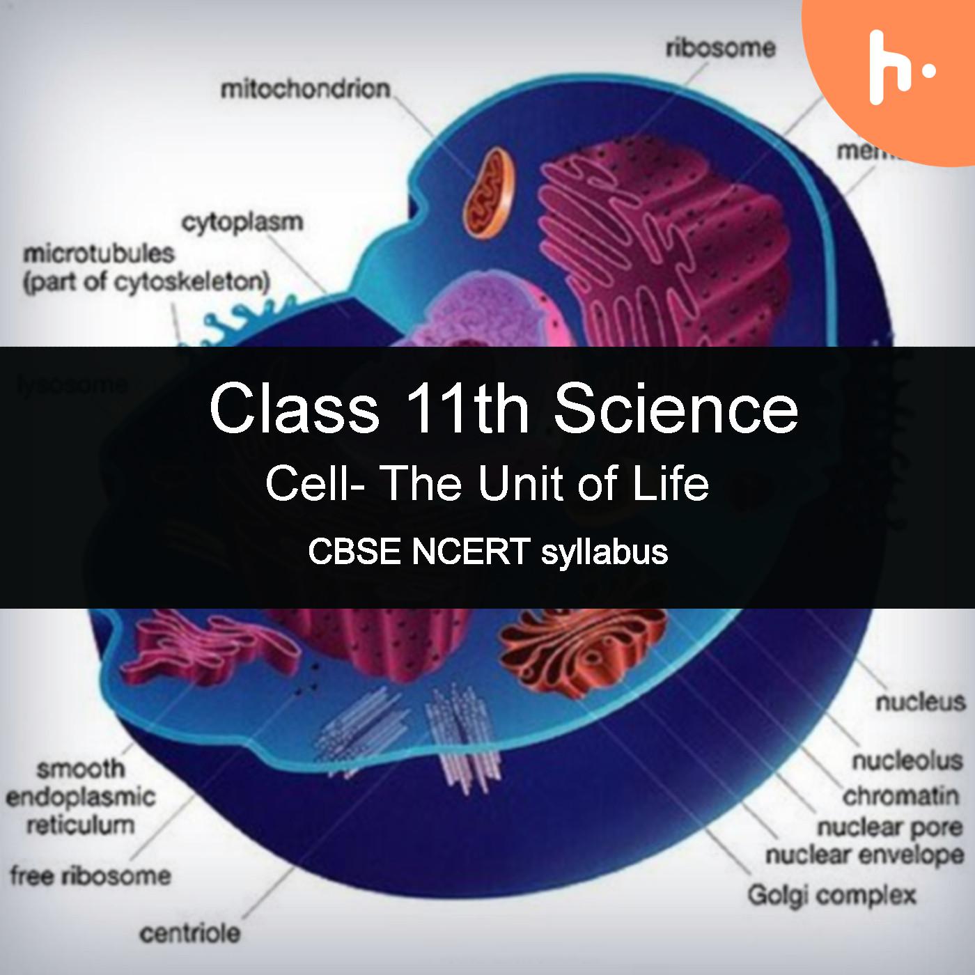 Questions Set 2 | CBSE | Class 11 | Biology | The Unit of Life podcast artwork