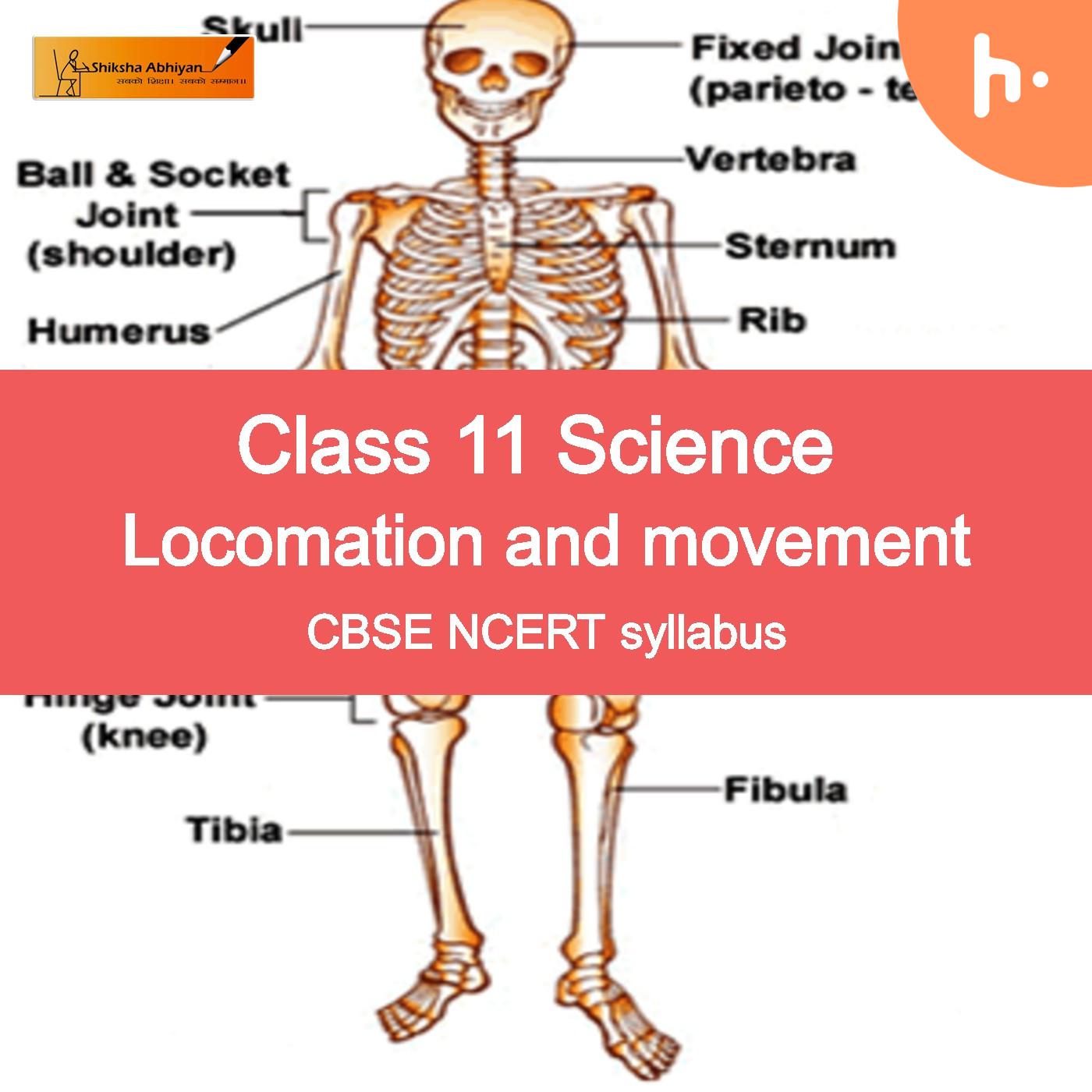 Theory part | CBSE | Class 11 | Biology | Locomotion and Movement