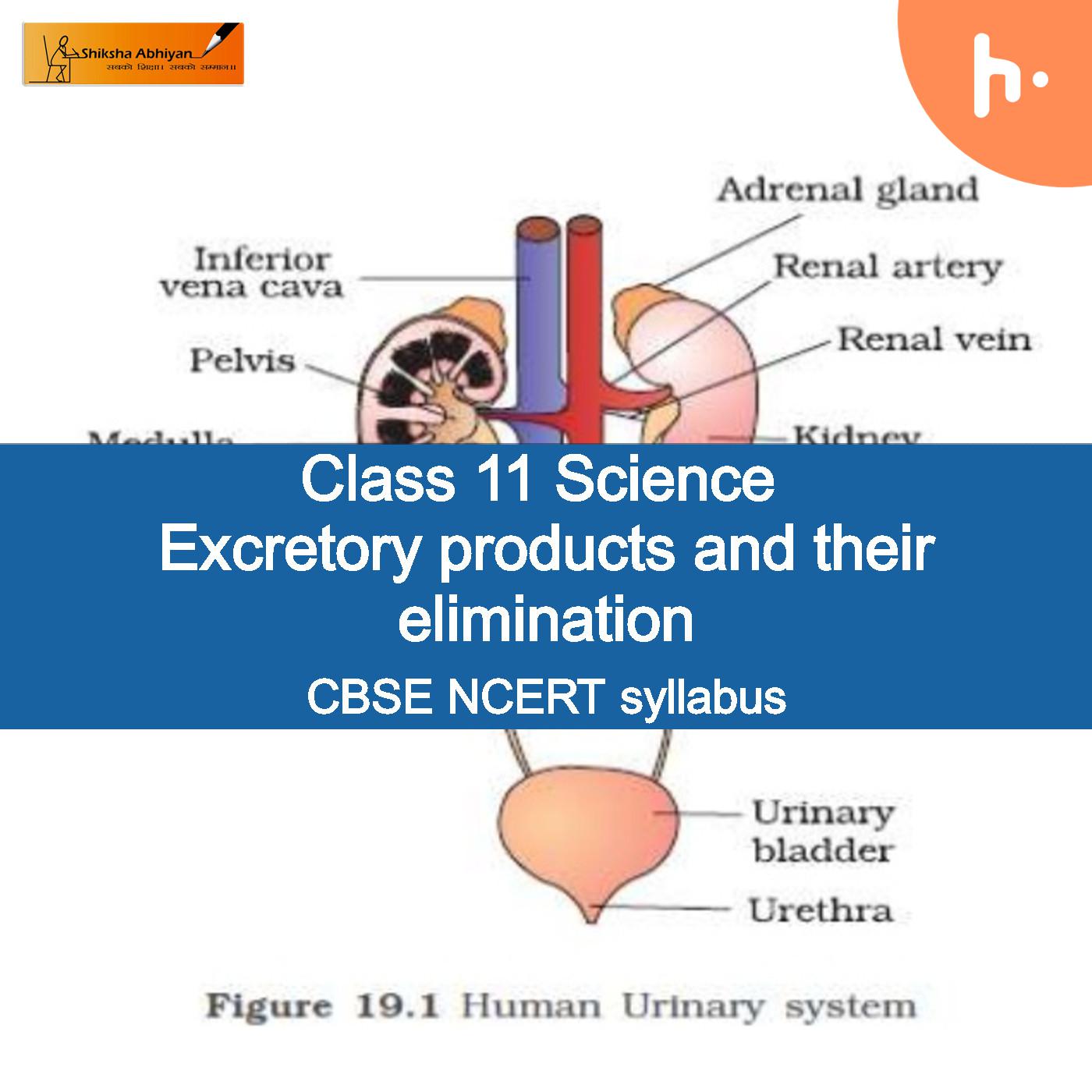 Theory part | CBSE | Class 11 | Biology | Excretory Products and their Elimination