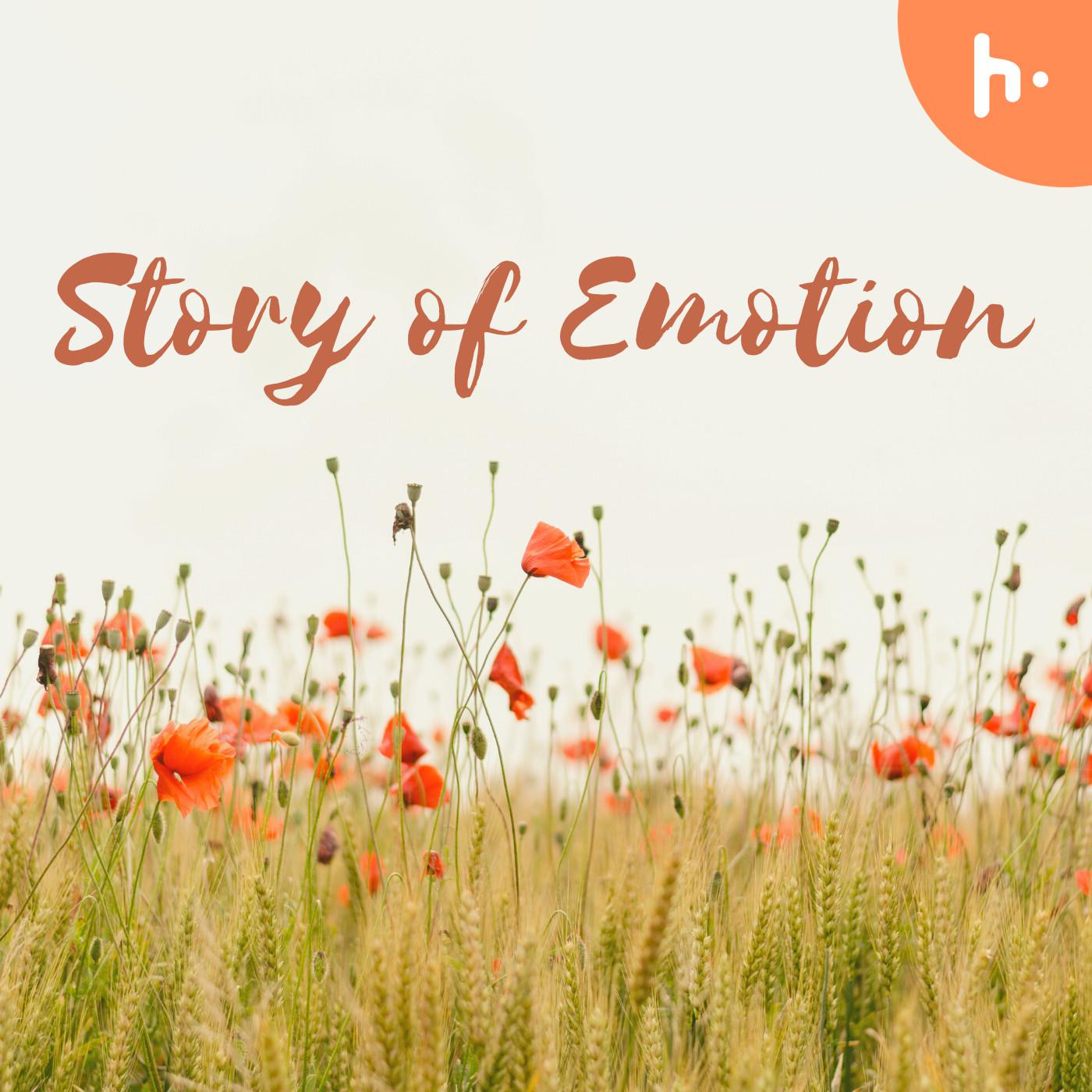 Story of Emotion