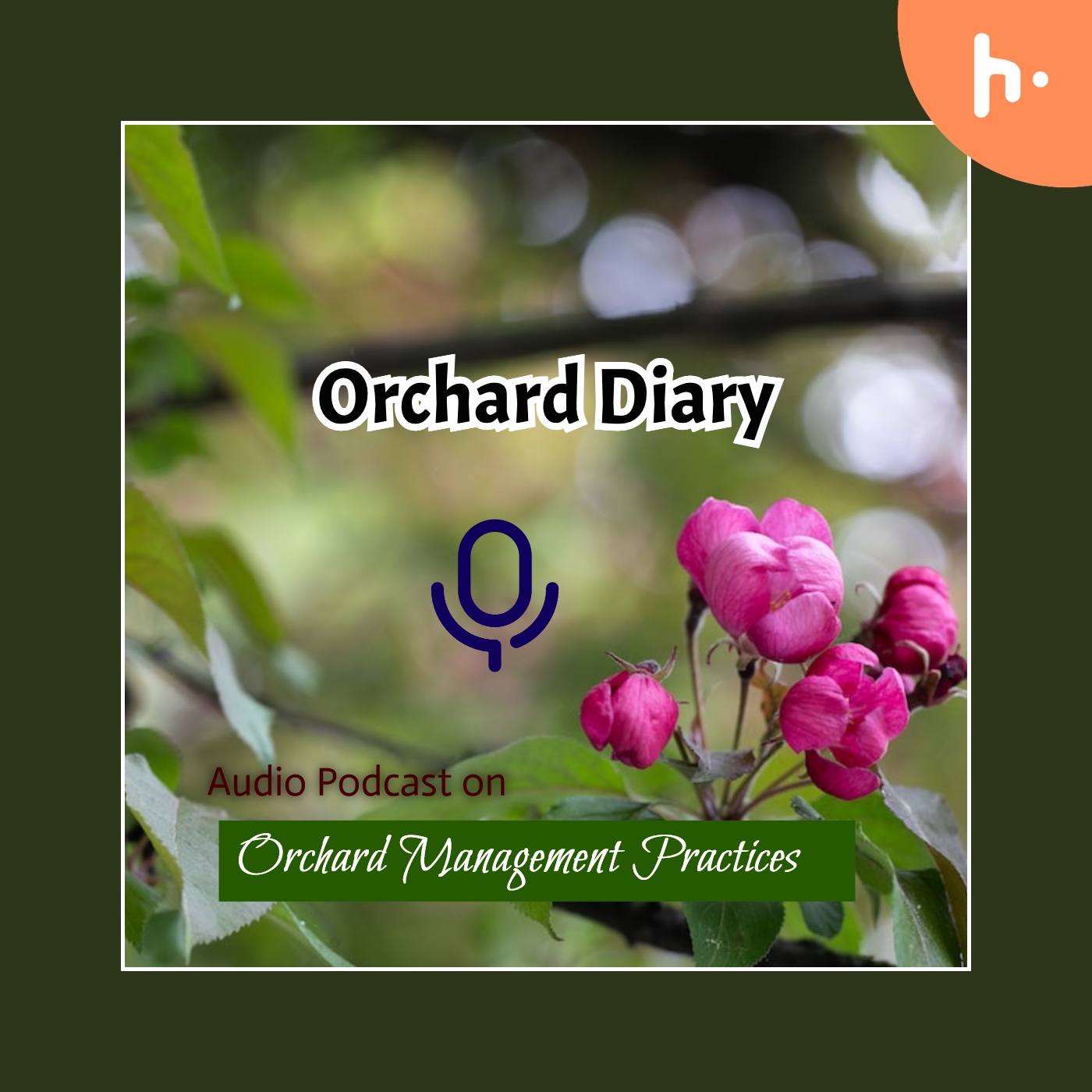 Orchard Diary