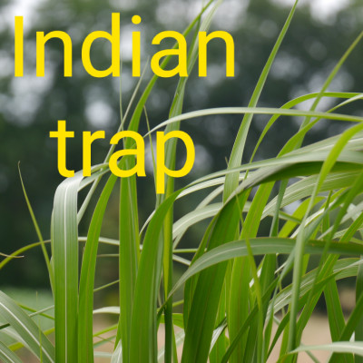 Episode 145 indie trap episode artwork