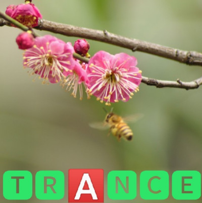 Episode 187 popular trending trance music episode artwork