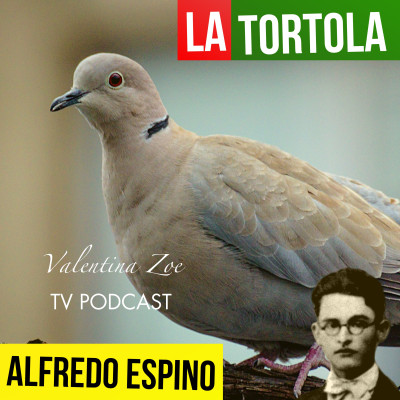 LA TORTOLA ALFREDO ESPINO ️ | Jícaras Tristes Panoramas y Aromas  | Alfredo Espino Poemas episode artwork