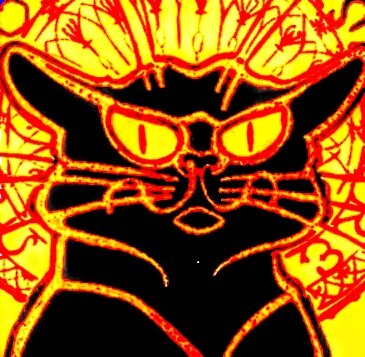 CAT FLAP episode artwork