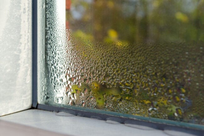 What Should the Humidity Level Be in Your House? episode artwork