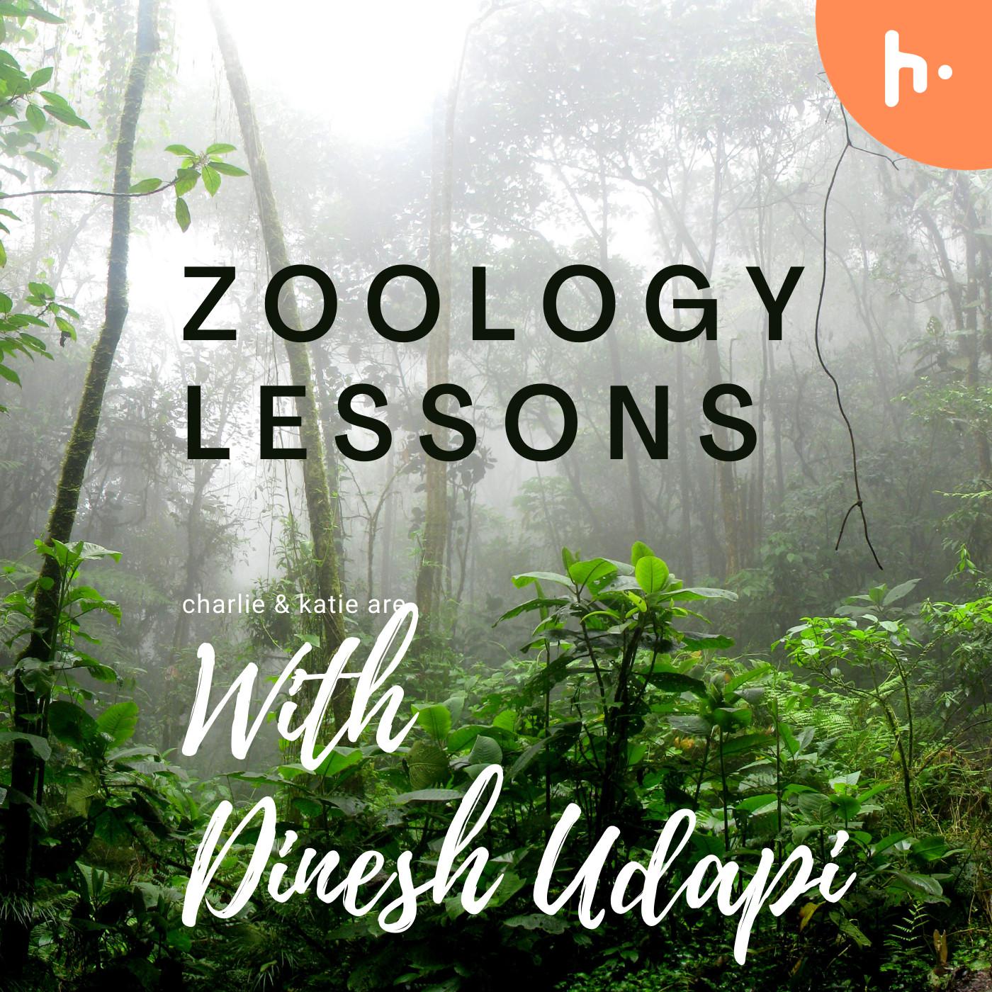 Dinesh Udapi's Podcast