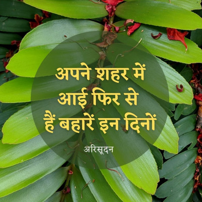 शहर बहारें, पंछी गाते, अरिसूदन / Happy Poetry of Corona, Shahar Baharein, Arisudan episode artwork
