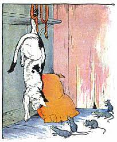 Episode 103 - Cat and the rat story