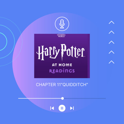 Chapter 11 “Quidditch”