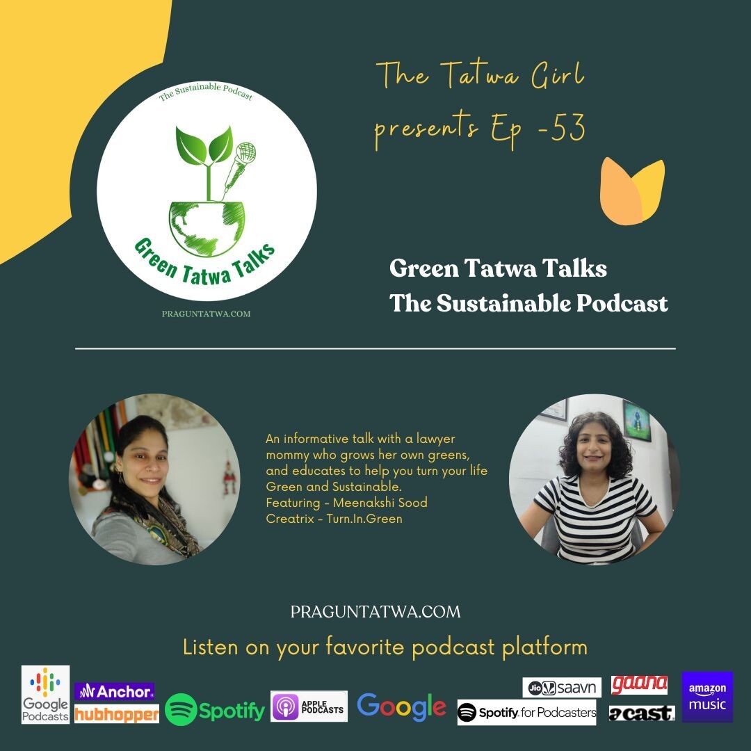 Ep 53 Green Tatwa Talks – In conversation with Meenakshi Sood Founder Turn In Green episode artwork