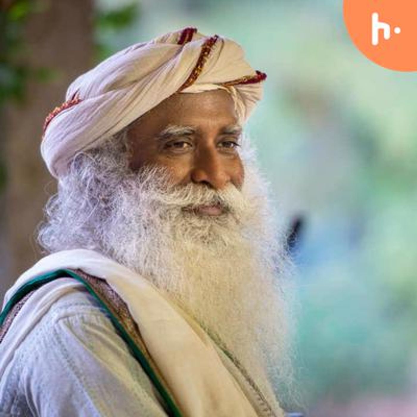 Sadhguru talks