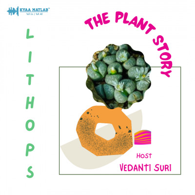 EPISODE 3 : LITHOPS | THE PLANT STORY episode artwork