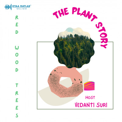 EPISODE 4 : RED WOOD TREES | THE PLANT STORY episode artwork