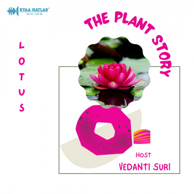 EPISODE 5 : LOTUS | THE PLANT STORY episode artwork