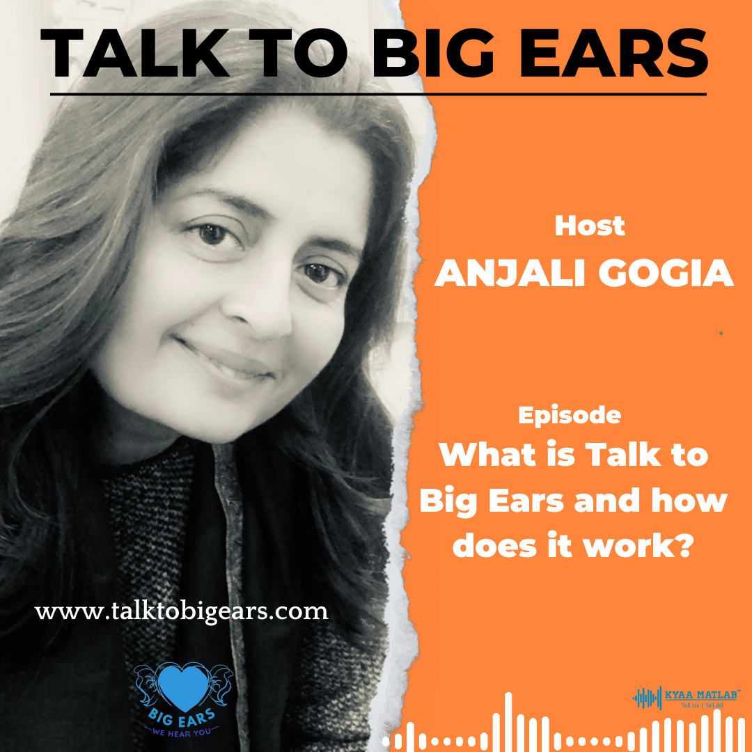 Episode 1: What is Talk to Big Ears and how does it work? | TALK TO BIG EARS episode artwork