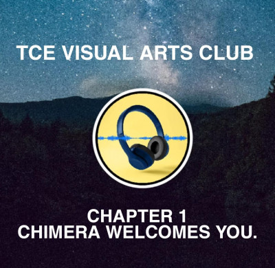 TCE VISUAL ARTS