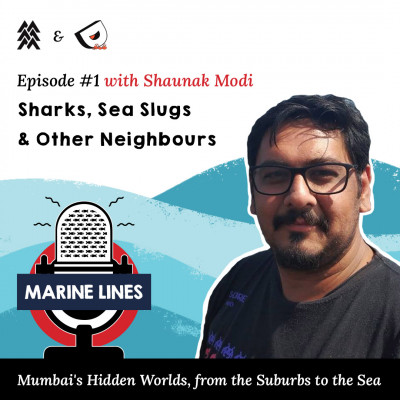 Sharks, Sea Slugs & Other Neighbours with Shaunak Modi