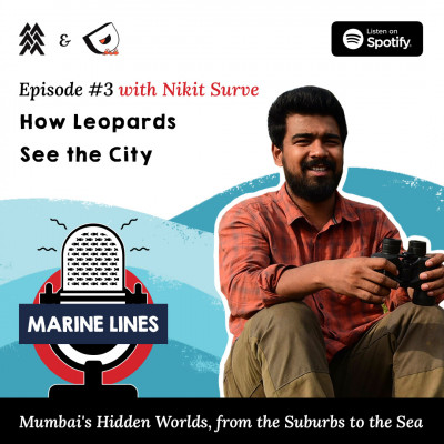 How Leopards See the City with Nikit Surve