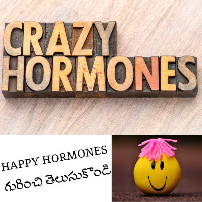 How Does Hormones Influence us-TELUGU