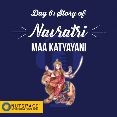 Festival Stories by NutSpace