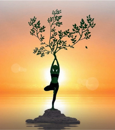 आशिष... आशिष...