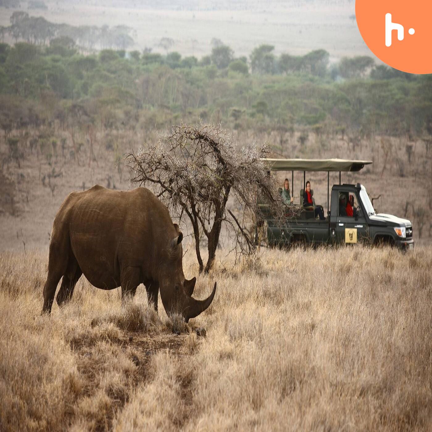 Wildlife and Nature
