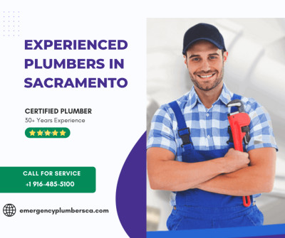 Plumbing Company in Sacramento episode artwork