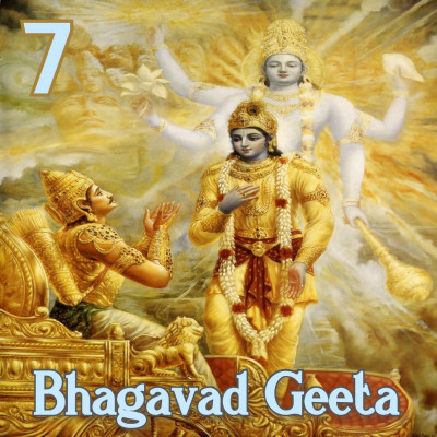 Chapter 7 - Immaculate Knowledge Chapter 7 - Immaculate Knowledge