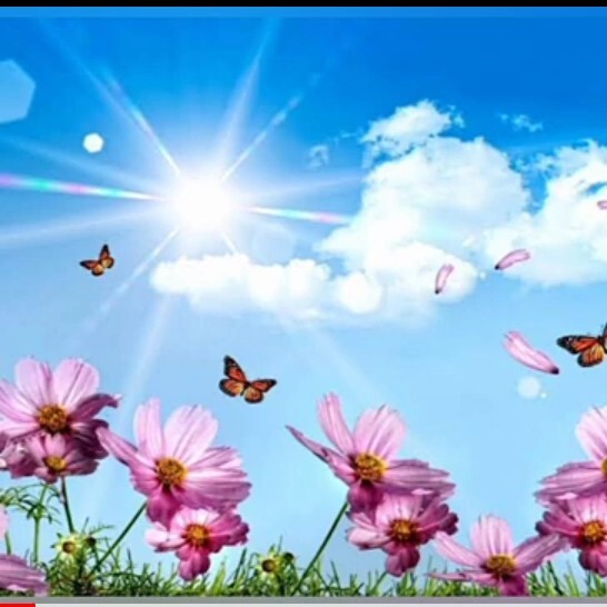 Stirring Life (Trance edit) DJ MANTY#music#shorts#youtube#youtube #trending #dance #trending