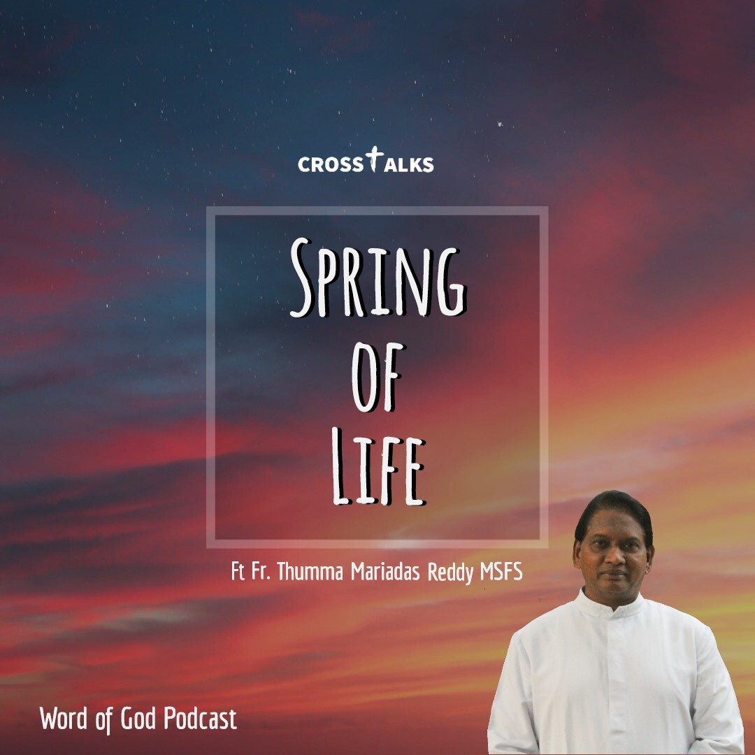 Crosstalks  Spring of Life