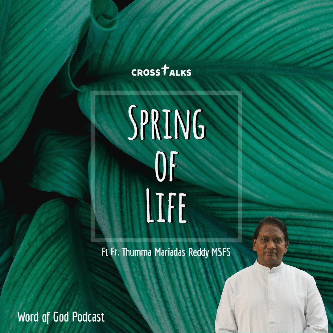 Crosstalks  Spring of Life