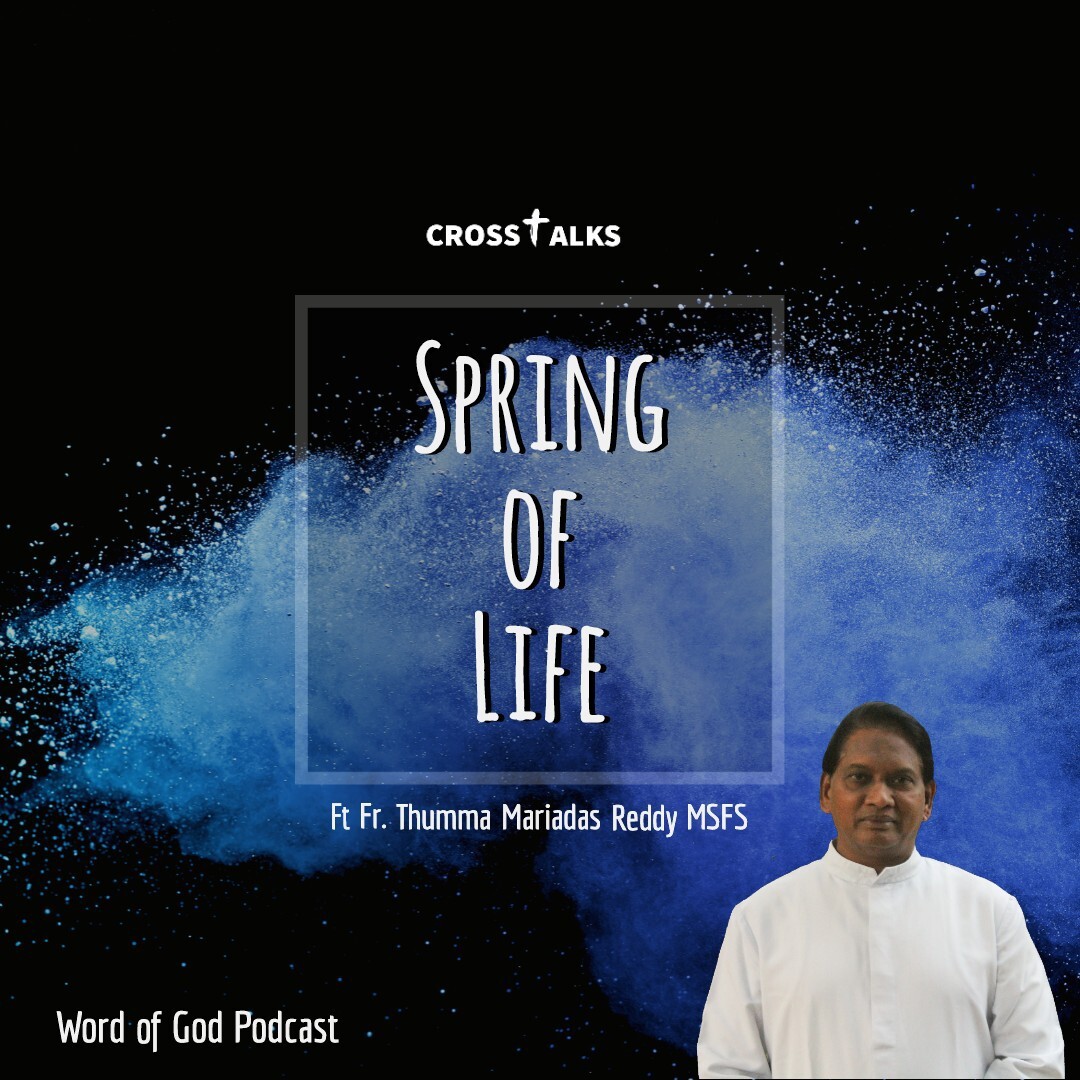 Crosstalks  Spring of Life