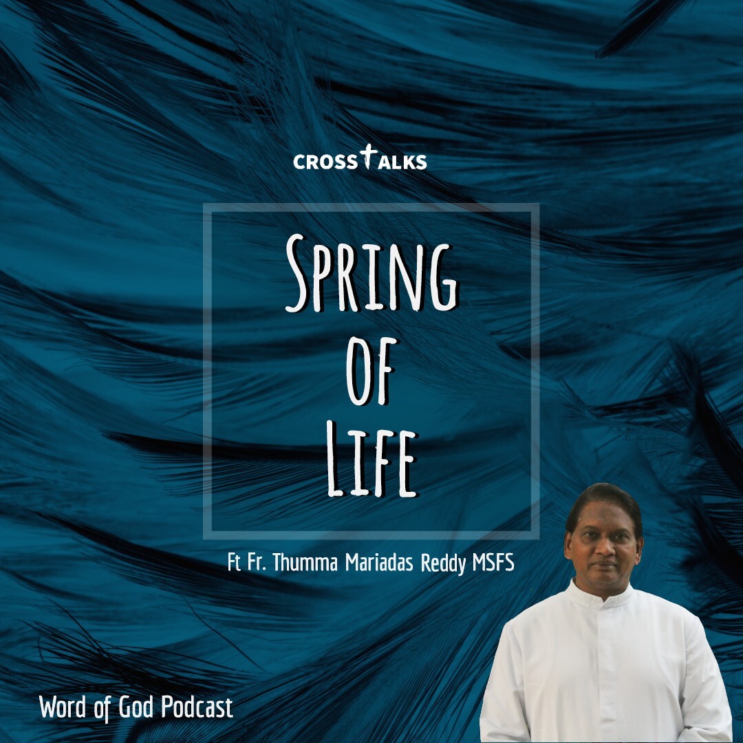 Crosstalks  Spring of Life