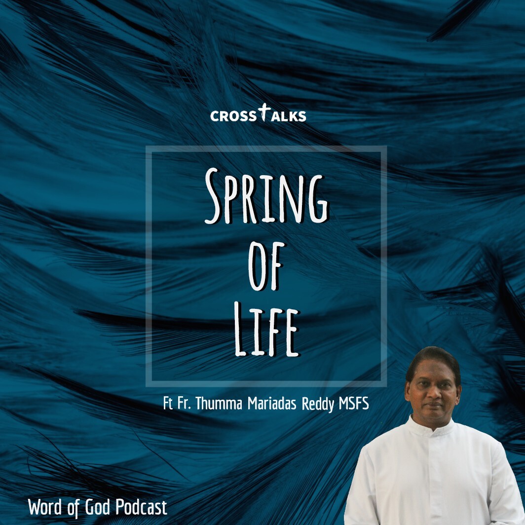 Crosstalks  Spring of Life