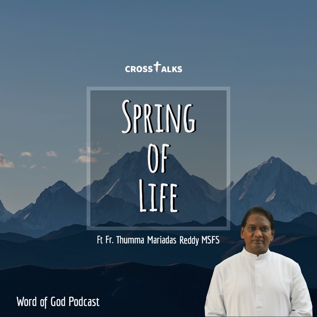 Crosstalks  Spring of Life