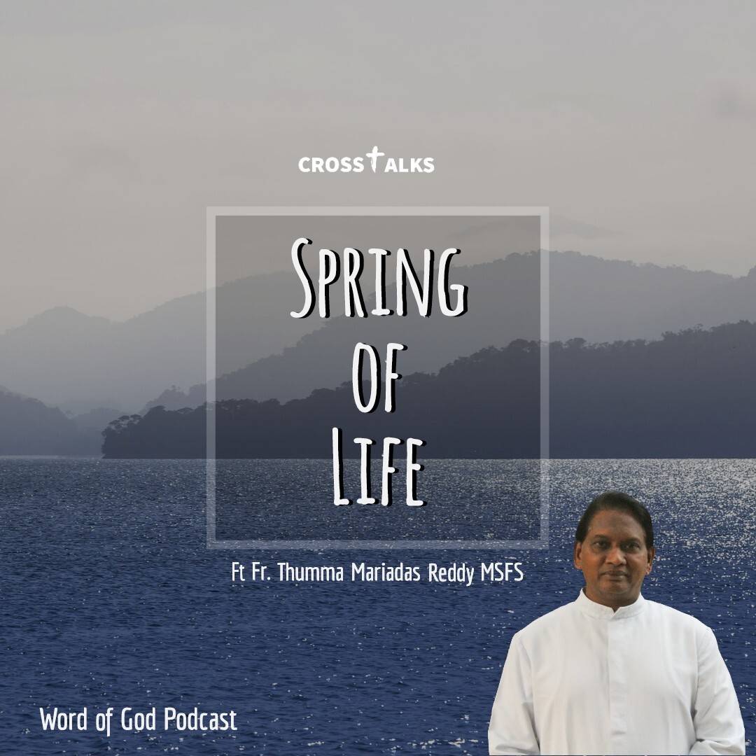 Crosstalks  Spring of Life