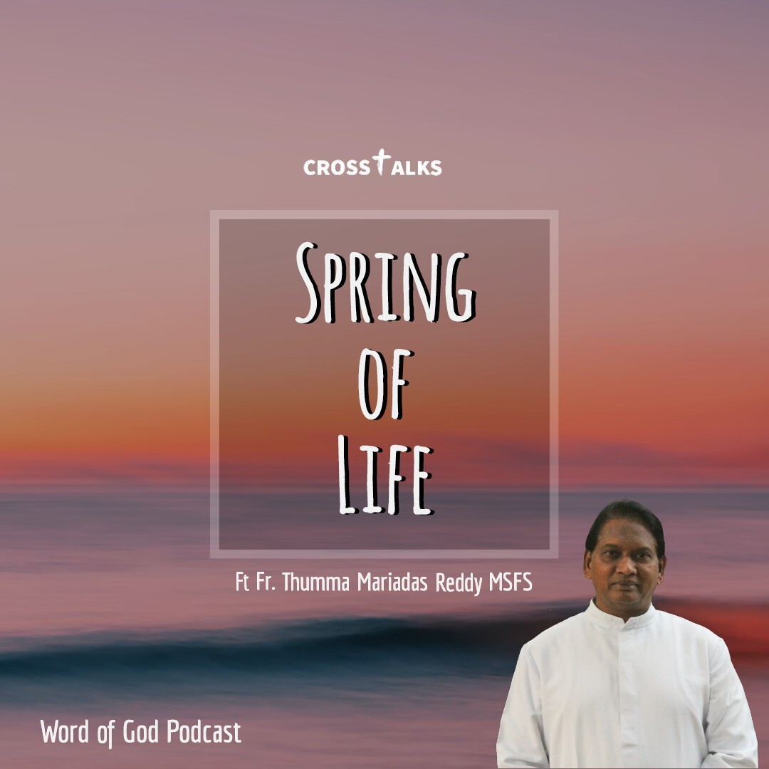 Crosstalks  Spring of Life