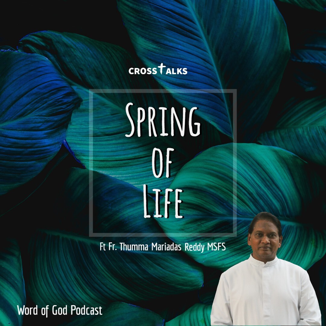 Crosstalks  Spring of Life