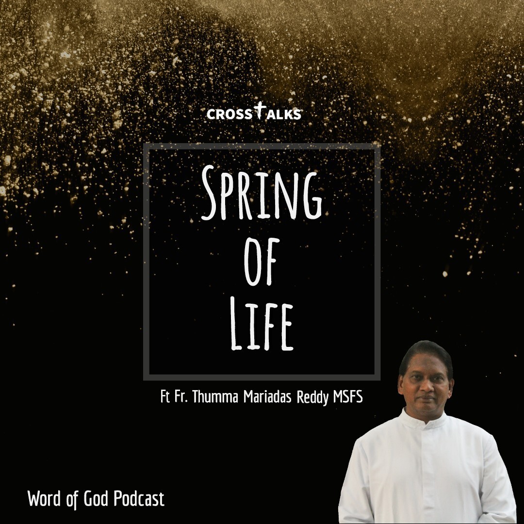 Crosstalks  Spring of Life