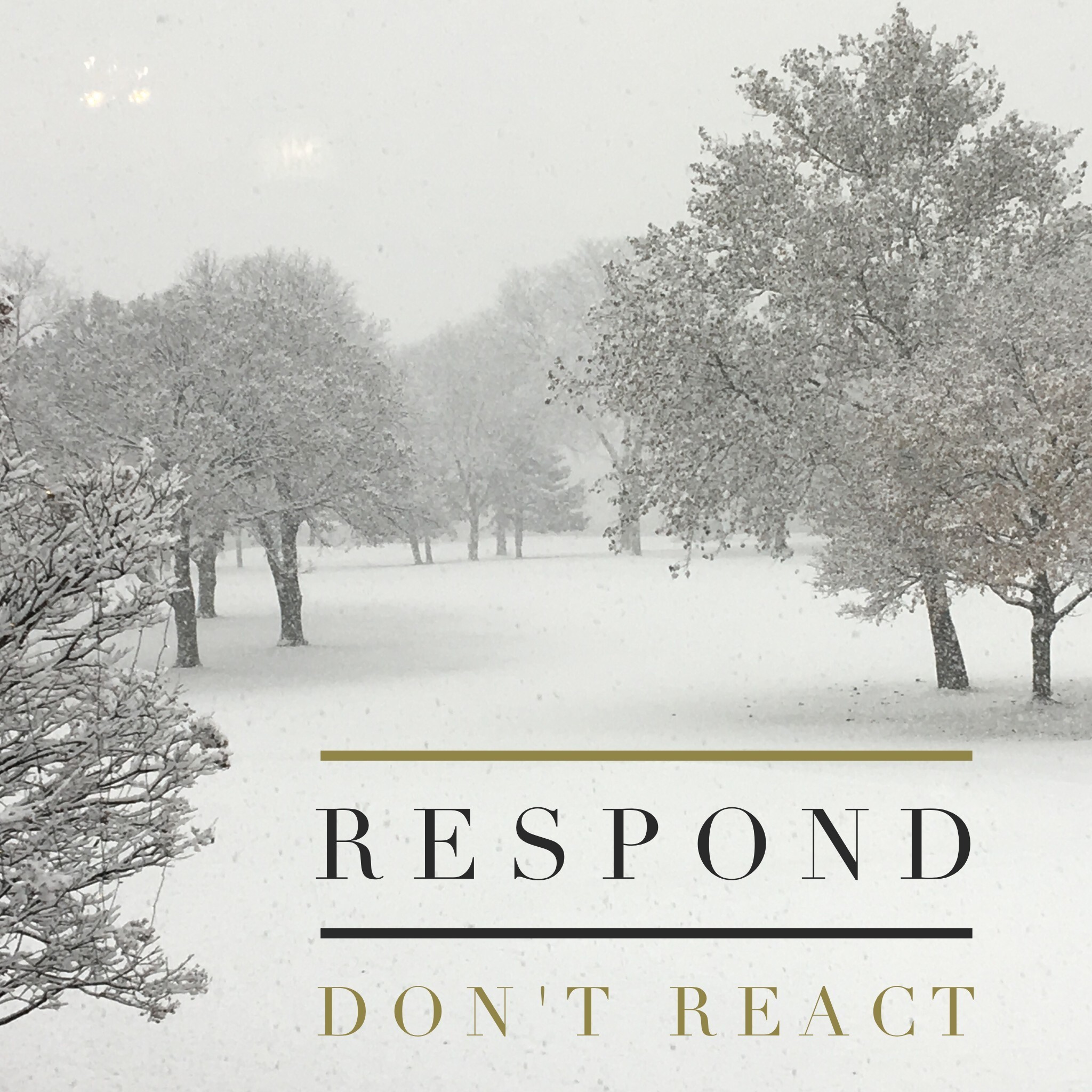 Respond but don't React episode artwork