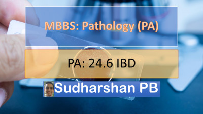 PA 24.6 Inflammatory Bowel Disease