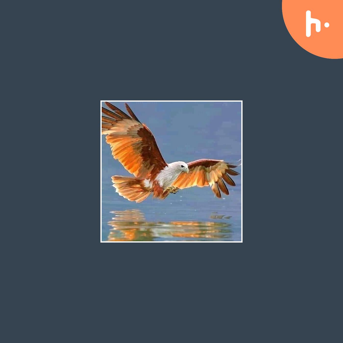 iwanNaser’s First Podcast cover art