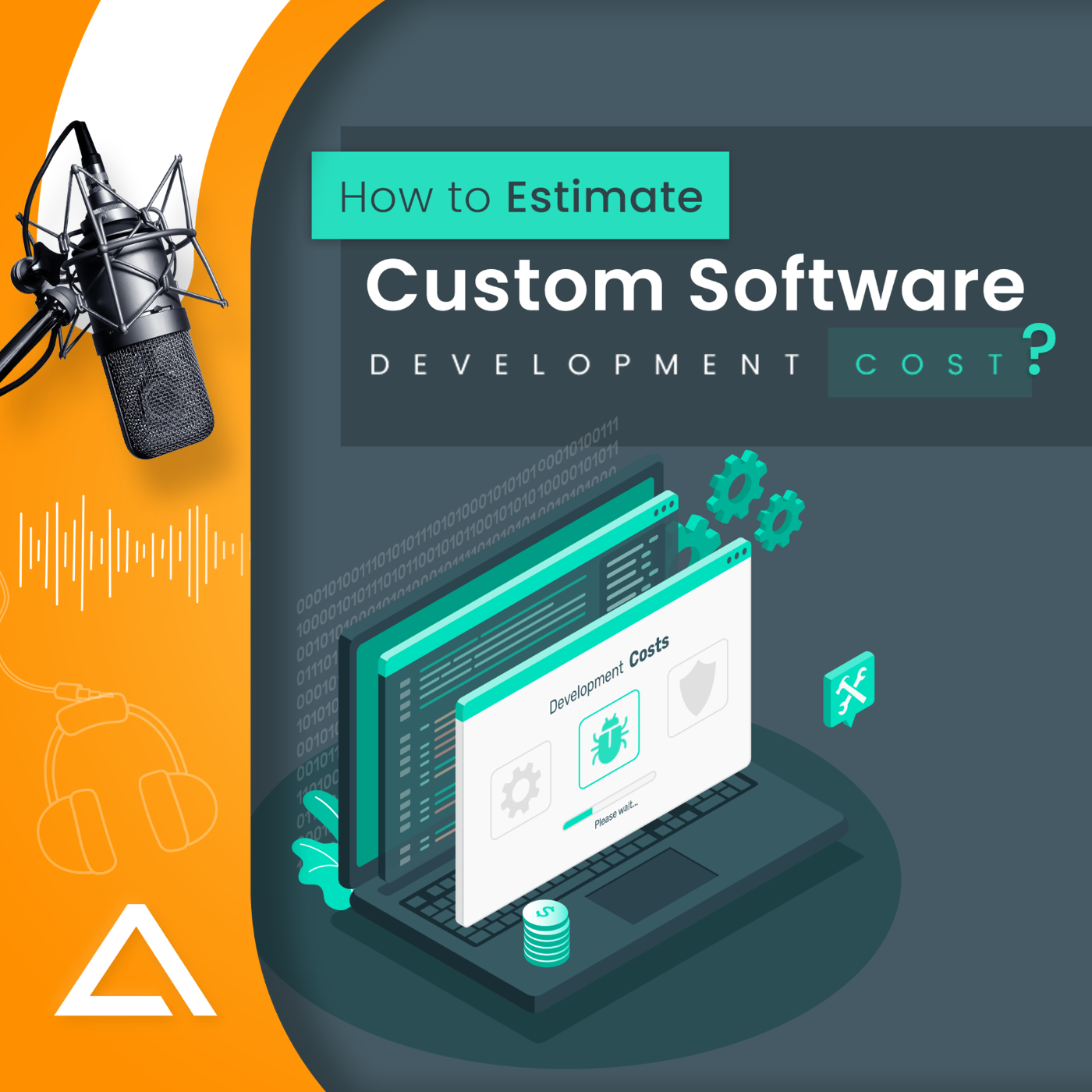 How to Estimate Custom Software Development Cost: podcast