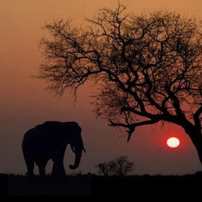 Gaja Kachapa | Elephant Vs Tortoise | Mahabharata | Mythology | Stop Overthinking | Peaceful Sleep |