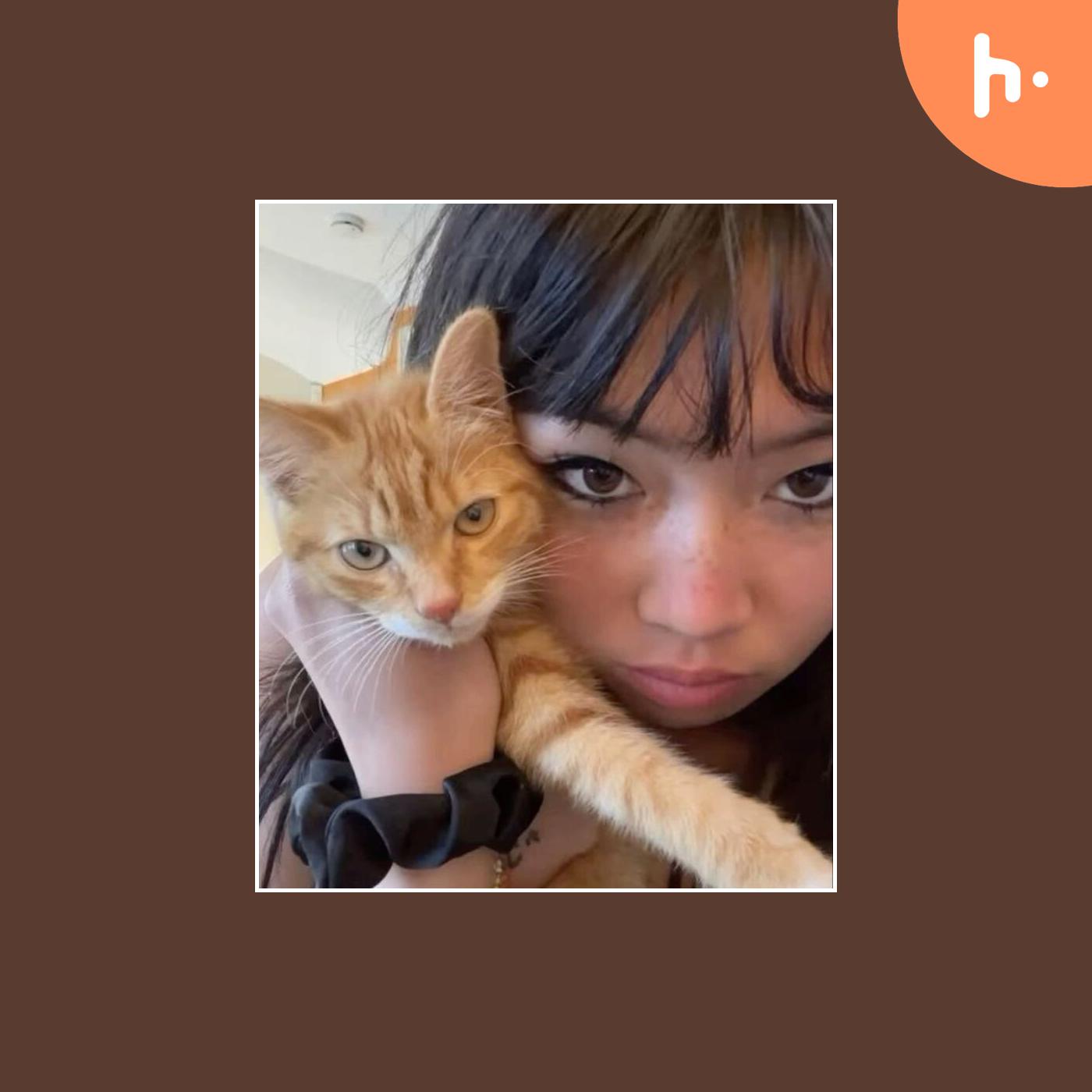 MISO