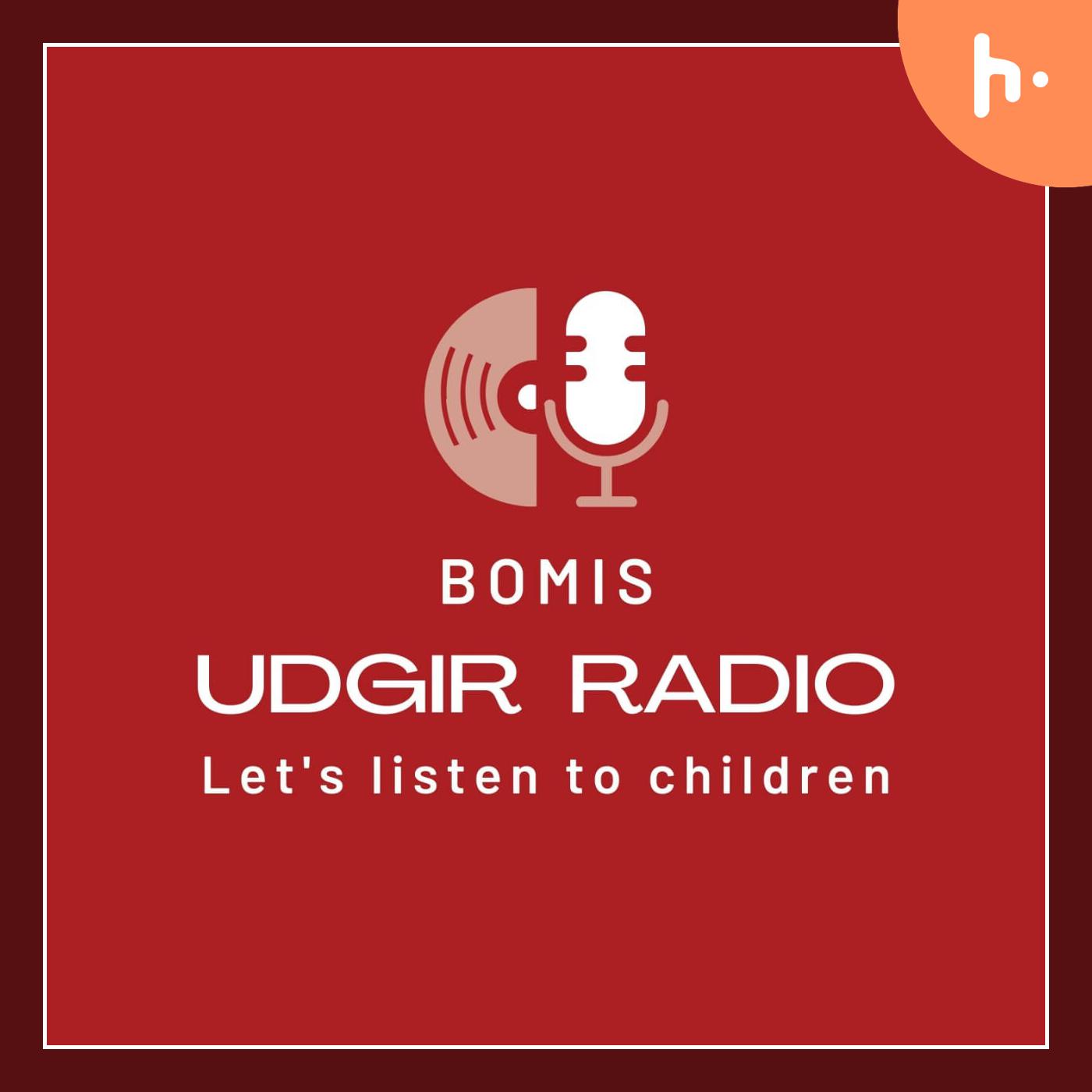 BOMIS UDGIR RADIO cover art