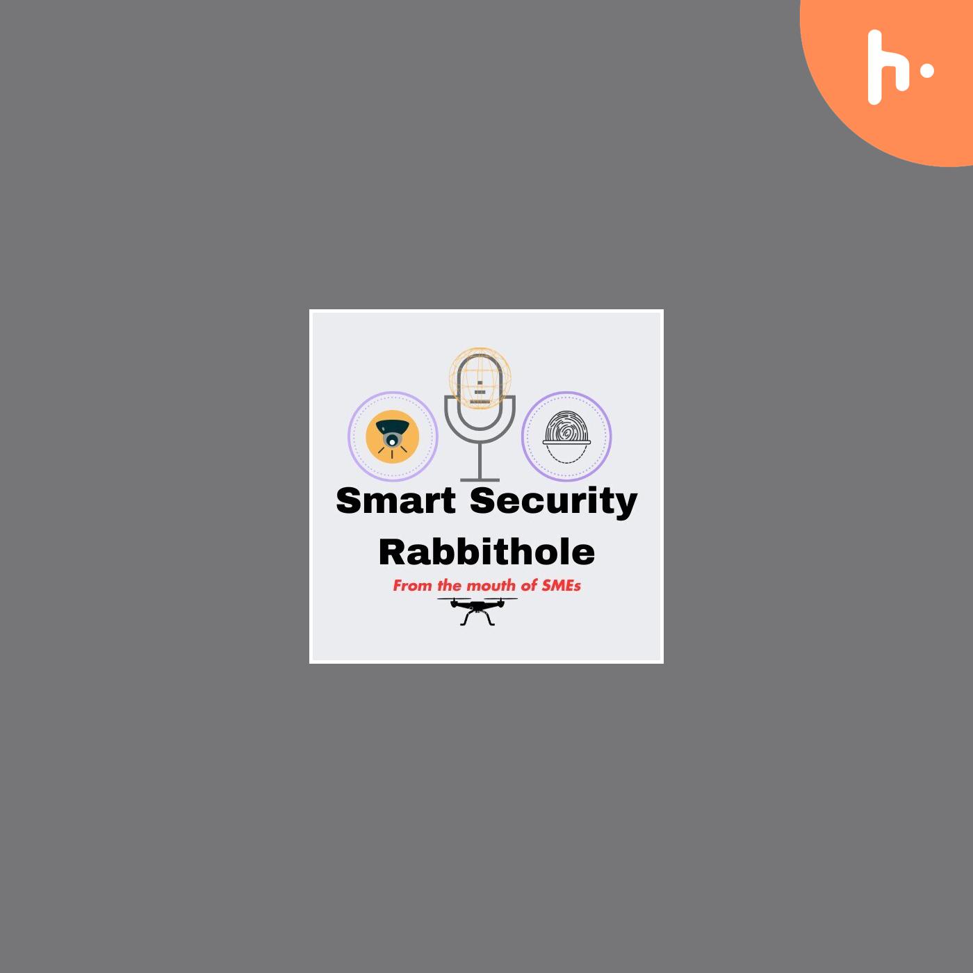 Smart Security Rabbithole